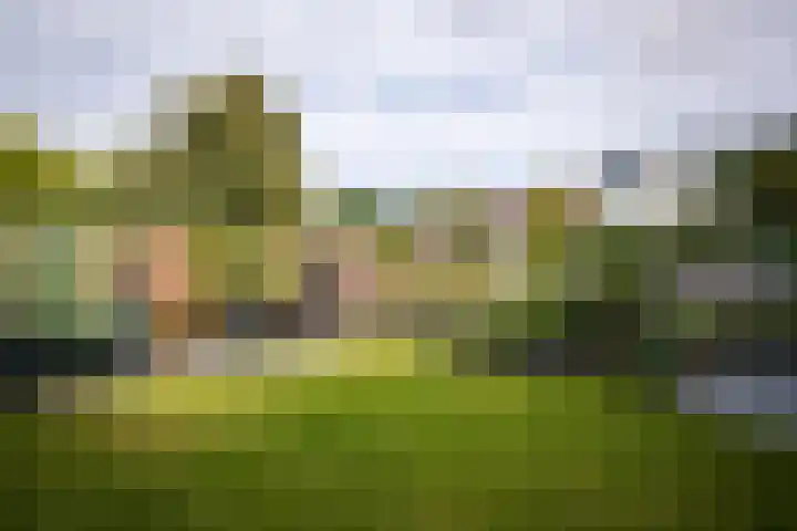 Ampèrelaan 27 Haarlem thumbnail 18