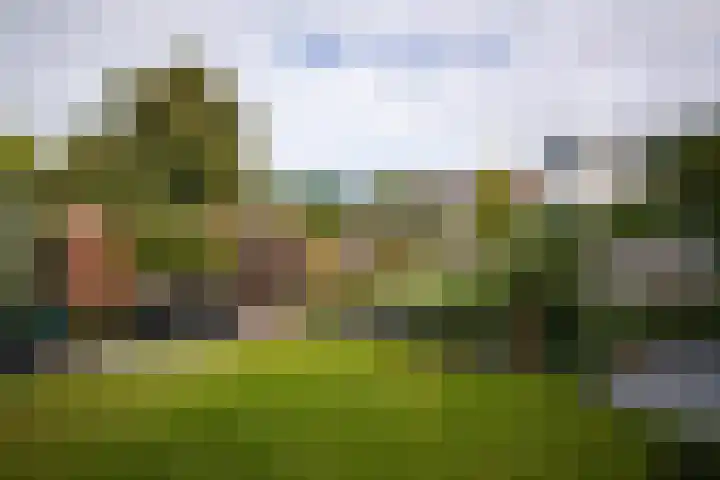 Ampèrelaan 27 Haarlem thumbnail 19