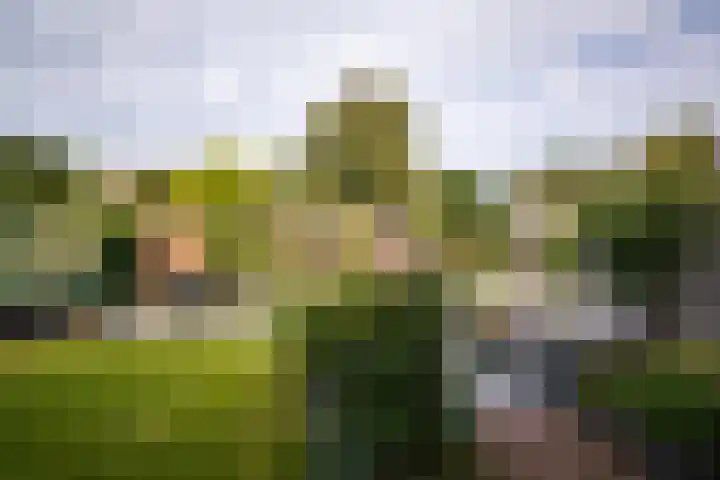 Ampèrelaan 27 Haarlem thumbnail 20