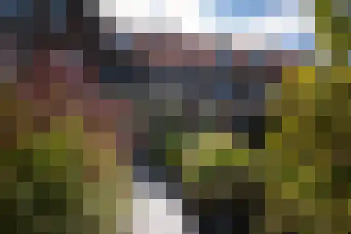 Ampèrelaan 27 Haarlem thumbnail 25