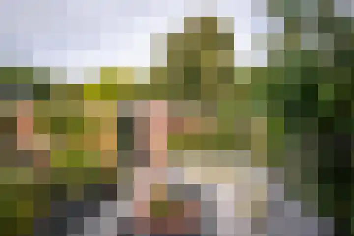 Ampèrelaan 27 Haarlem thumbnail 28