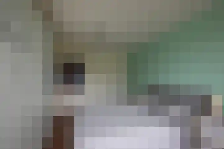 Ampèrelaan 27 Haarlem thumbnail 33