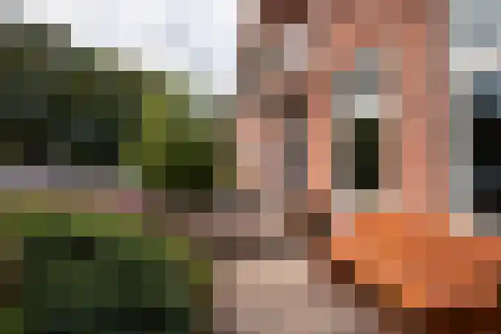 Ampèrelaan 27 Haarlem thumbnail 46