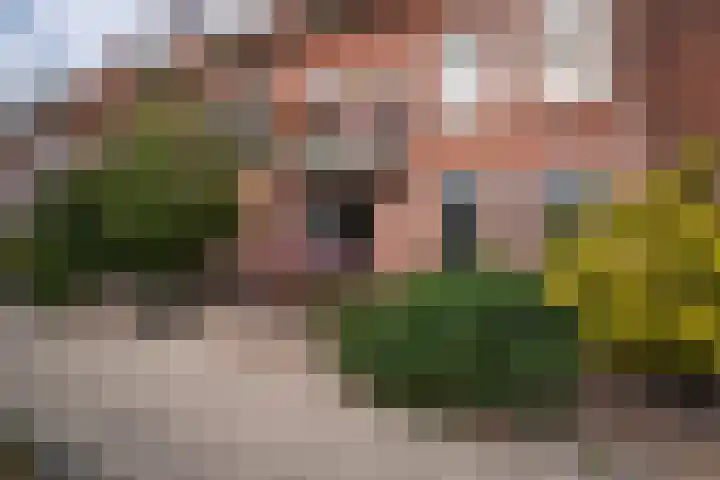 Ampèrelaan 27 Haarlem thumbnail 47