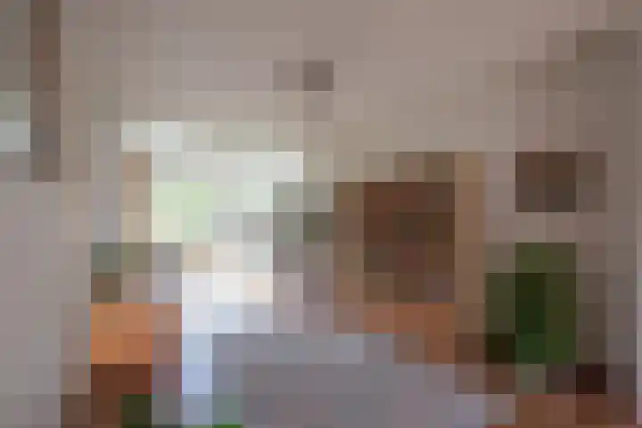 Ampèrelaan 27 Haarlem thumbnail 5