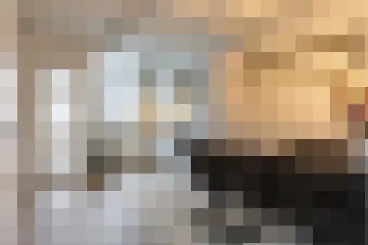 Ampèrelaan 27 Schoonhoven thumbnail 11