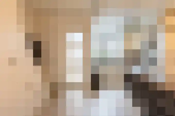 Ampèrelaan 27 Schoonhoven thumbnail 12