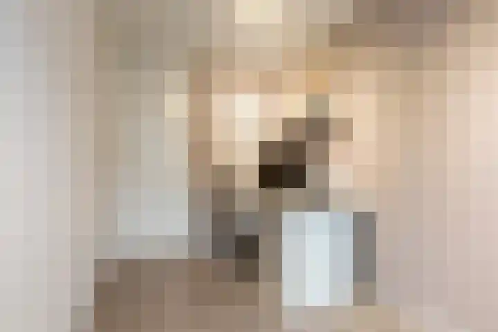 Ampèrelaan 27 Schoonhoven thumbnail 21