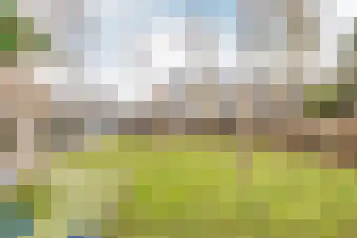 Ampèrelaan 27 Schoonhoven thumbnail 42