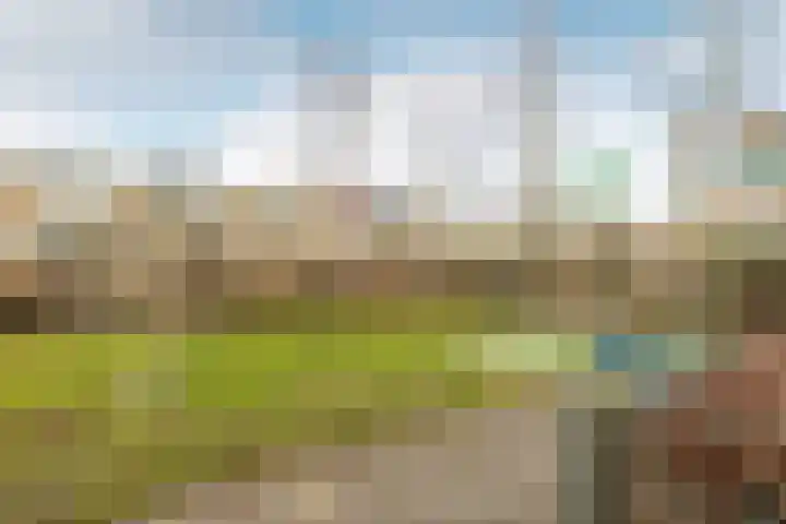 Ampèrelaan 27 Schoonhoven thumbnail 43