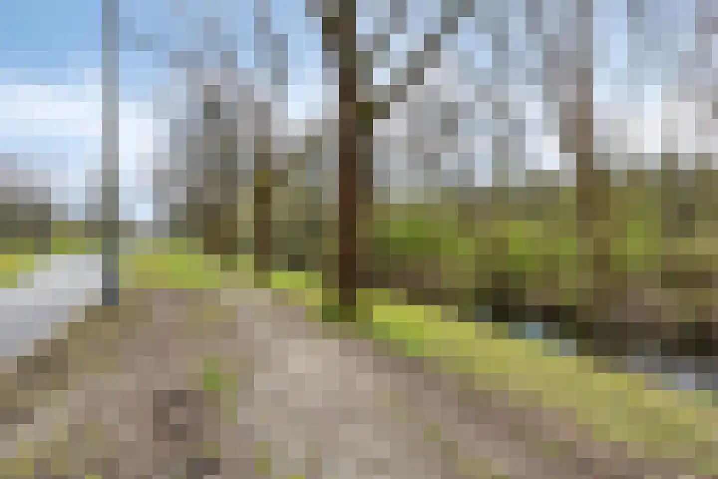 Ampèrestraat 1 Oosterhout thumbnail 23