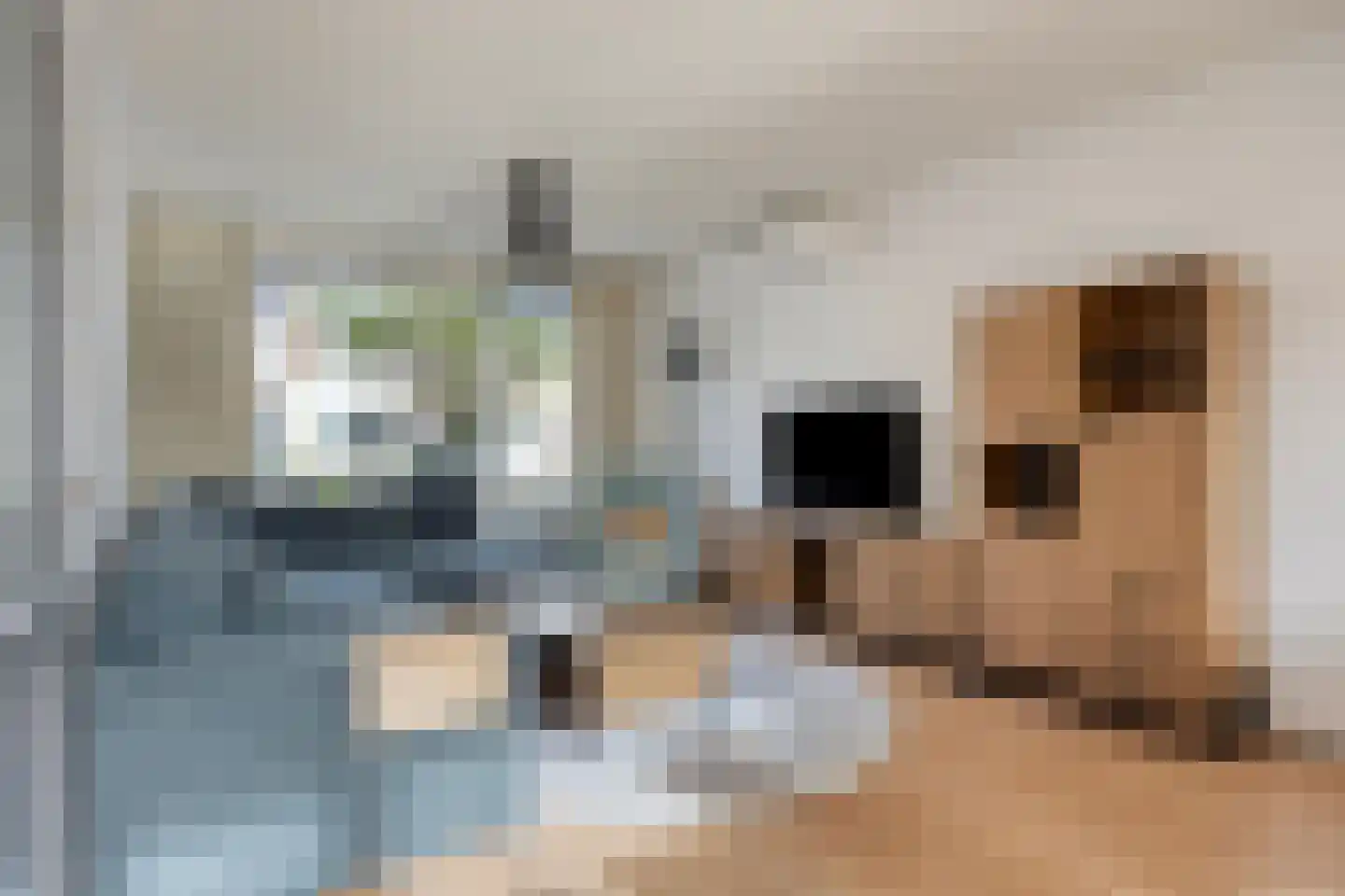Ampèrestraat 1 Oosterhout thumbnail 6