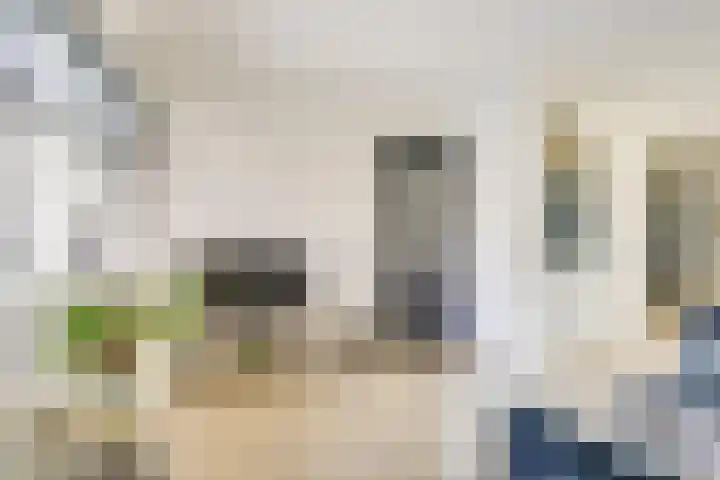 Ampèrestraat 1 Utrecht thumbnail 9