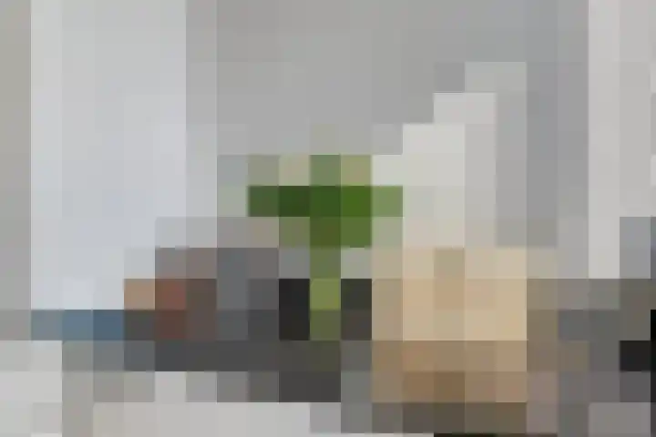 Ampèrestraat 102 's-Hertogenbosch thumbnail 14