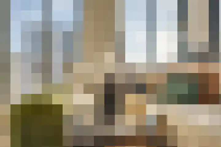 Ampèrestraat 102 's-Hertogenbosch thumbnail 20