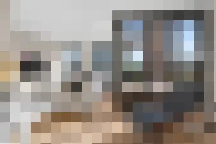 Ampèrestraat 102 's-Hertogenbosch thumbnail 25