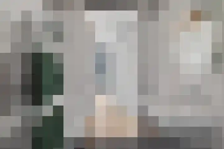 Ampèrestraat 102 's-Hertogenbosch thumbnail 39