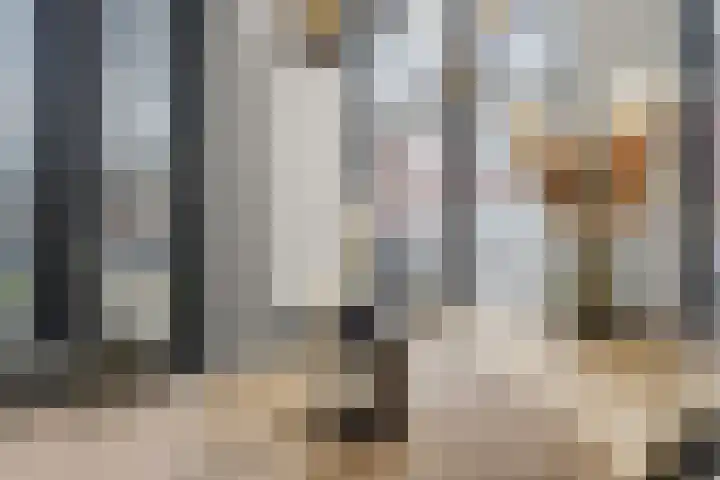 Ampèrestraat 102 's-Hertogenbosch thumbnail 8