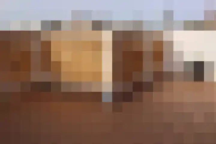 Ampèrestraat 104 Den Haag thumbnail 34
