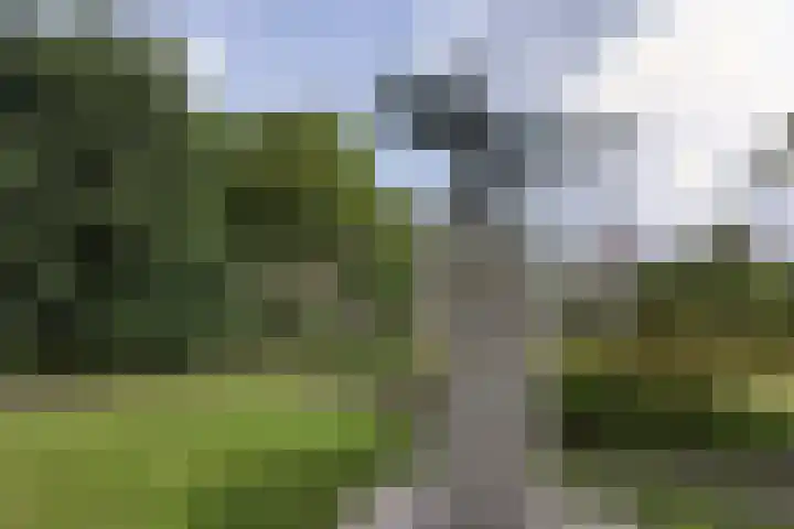Ampèrestraat 104 Den Haag thumbnail 44