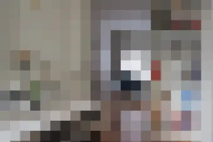 Ampèrestraat 104 Den Haag thumbnail 8