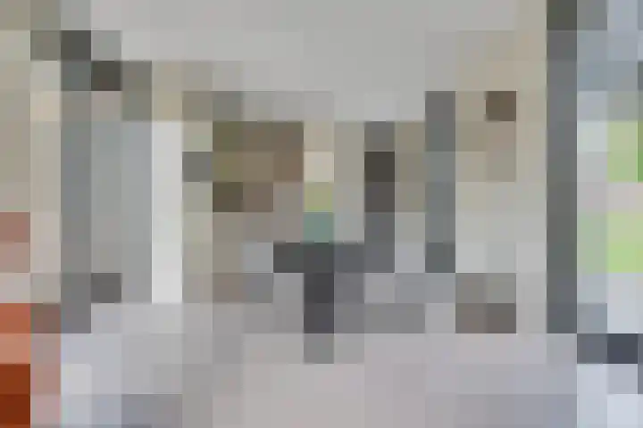 Ampèrestraat 108 's-Hertogenbosch thumbnail 10