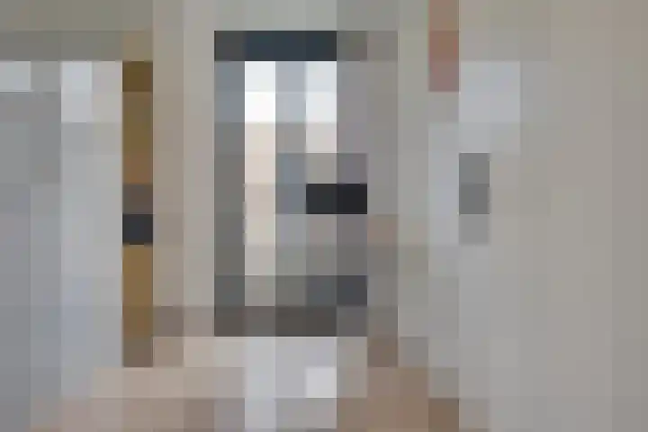 Ampèrestraat 108 's-Hertogenbosch thumbnail 19