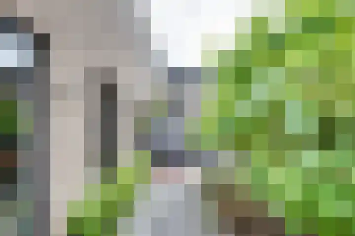 Ampèrestraat 108 's-Hertogenbosch thumbnail 23