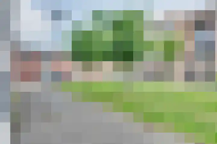 Ampèrestraat 108 's-Hertogenbosch thumbnail 29