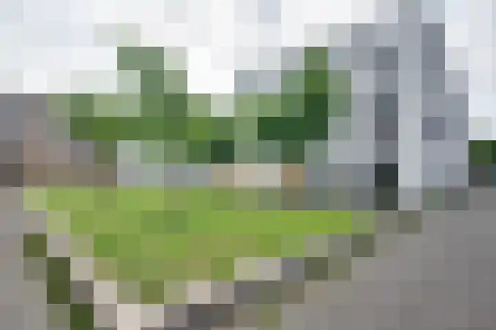 Ampèrestraat 108 's-Hertogenbosch thumbnail 4