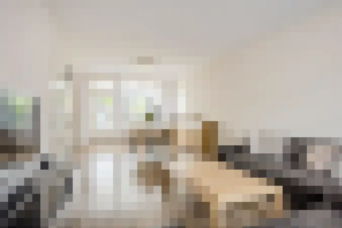Ampèrestraat 11 Oosterhout foto 3