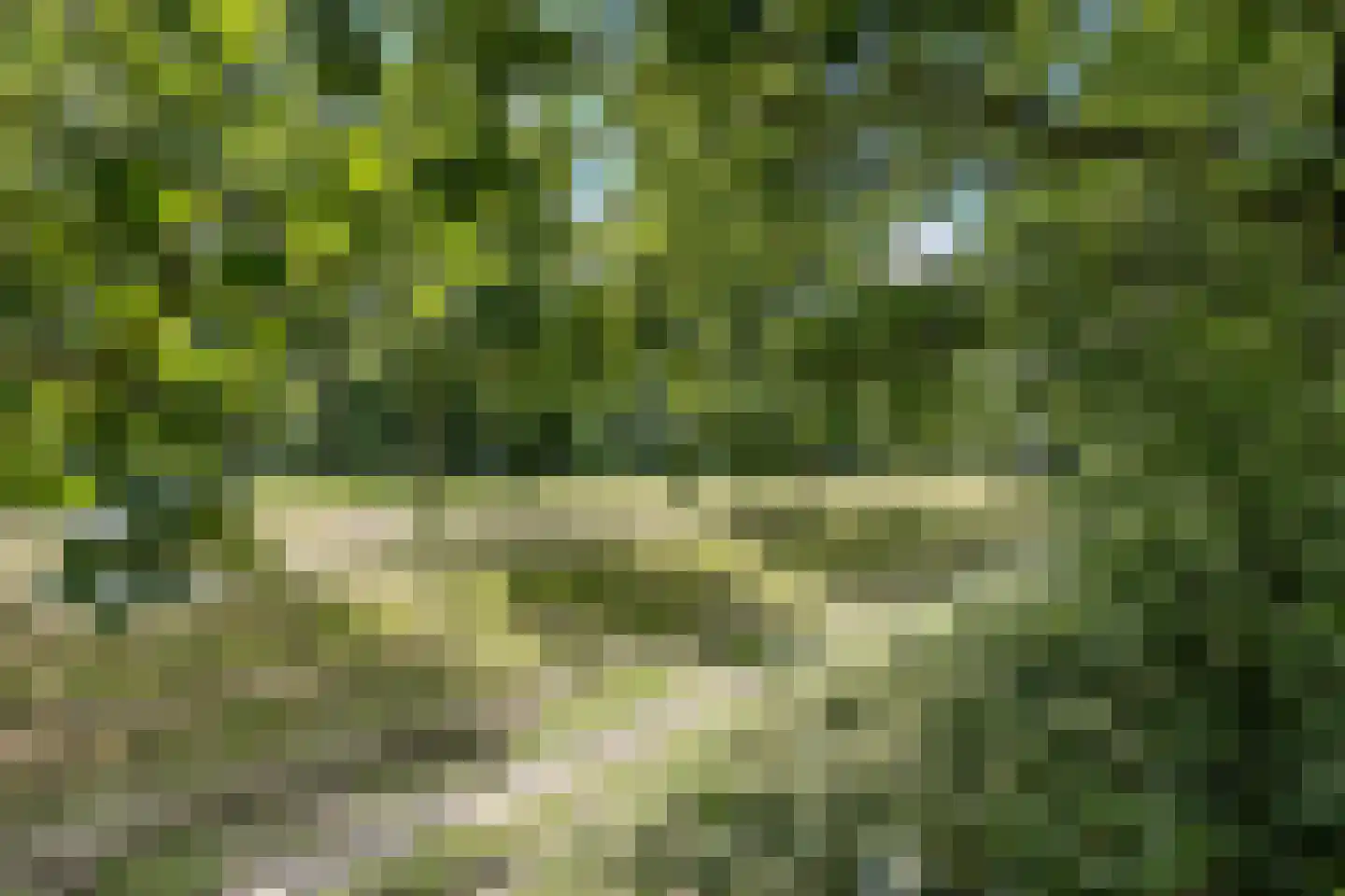 Ampèrestraat 11 Oosterhout thumbnail 36