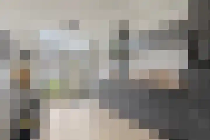 Ampèrestraat 112 Eindhoven thumbnail 13