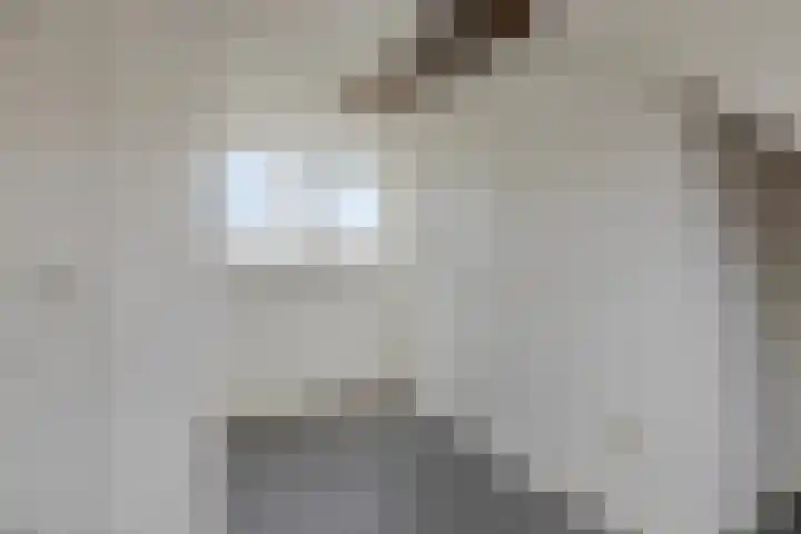 Ampèrestraat 112 Eindhoven thumbnail 27