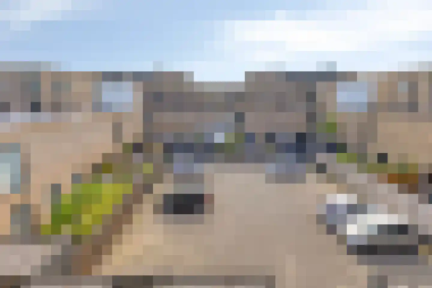 Ampèrestraat 114 's-Hertogenbosch thumbnail 32