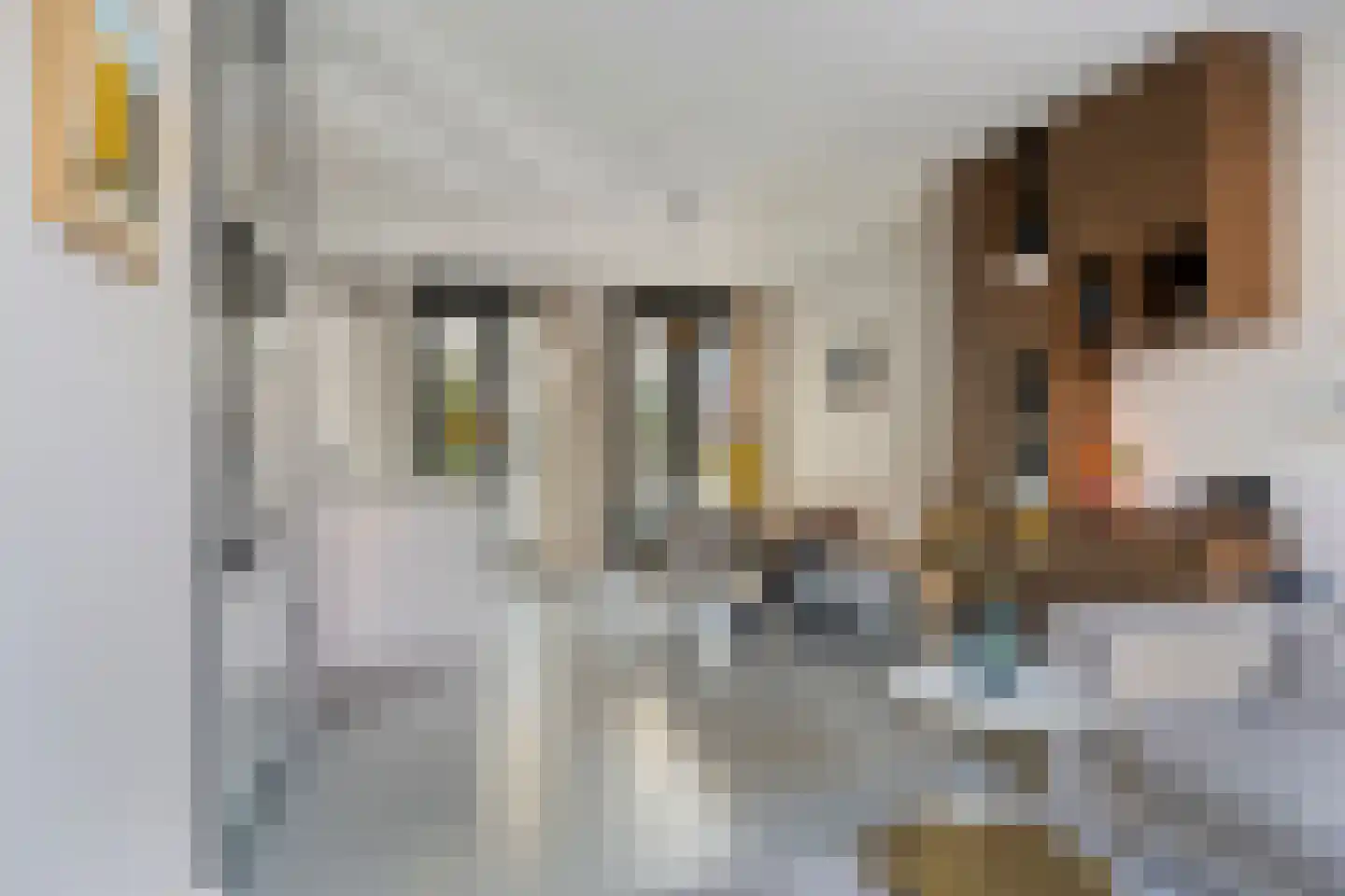 Ampèrestraat 114 's-Hertogenbosch thumbnail 4