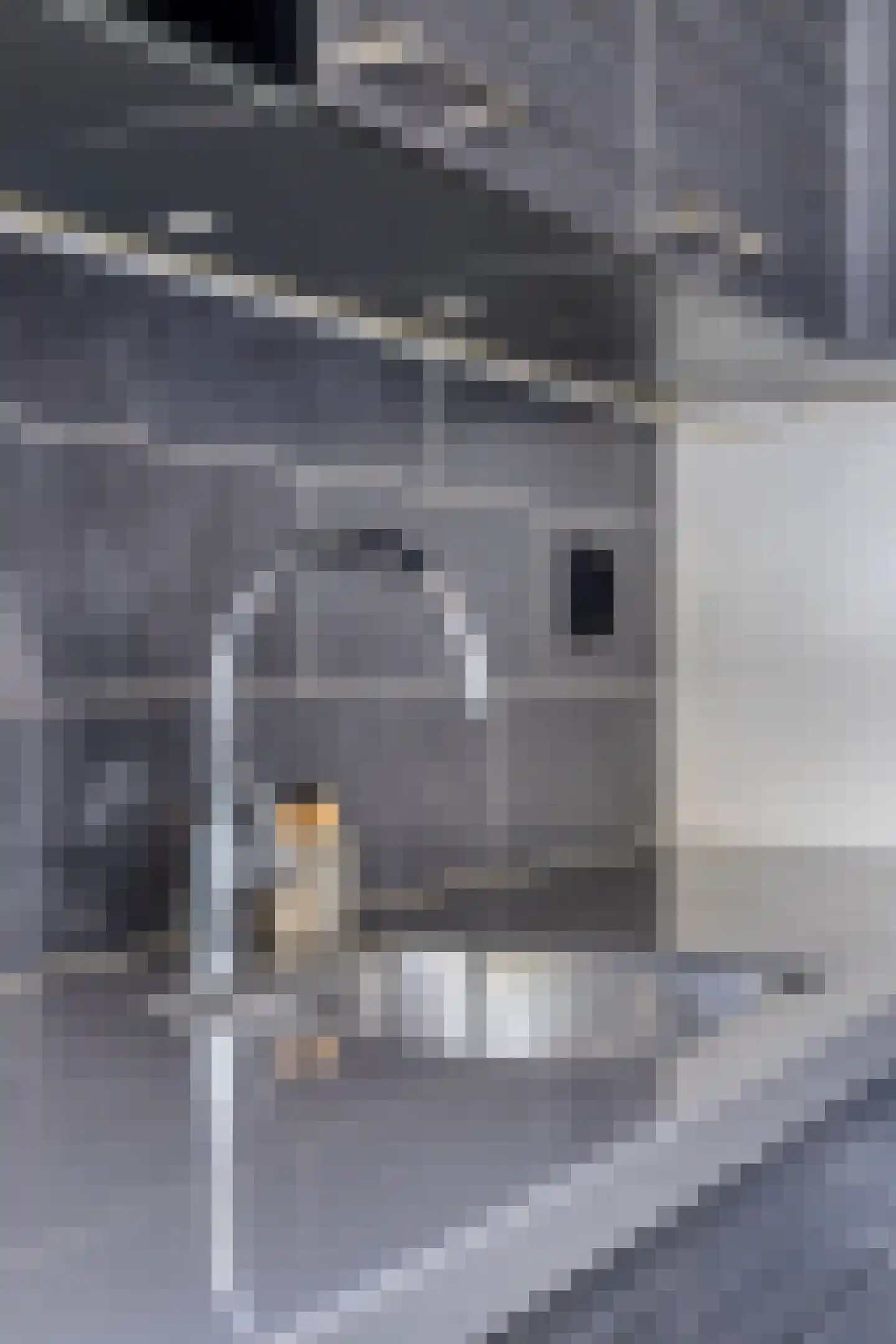 Ampèrestraat 116 Eindhoven thumbnail 15