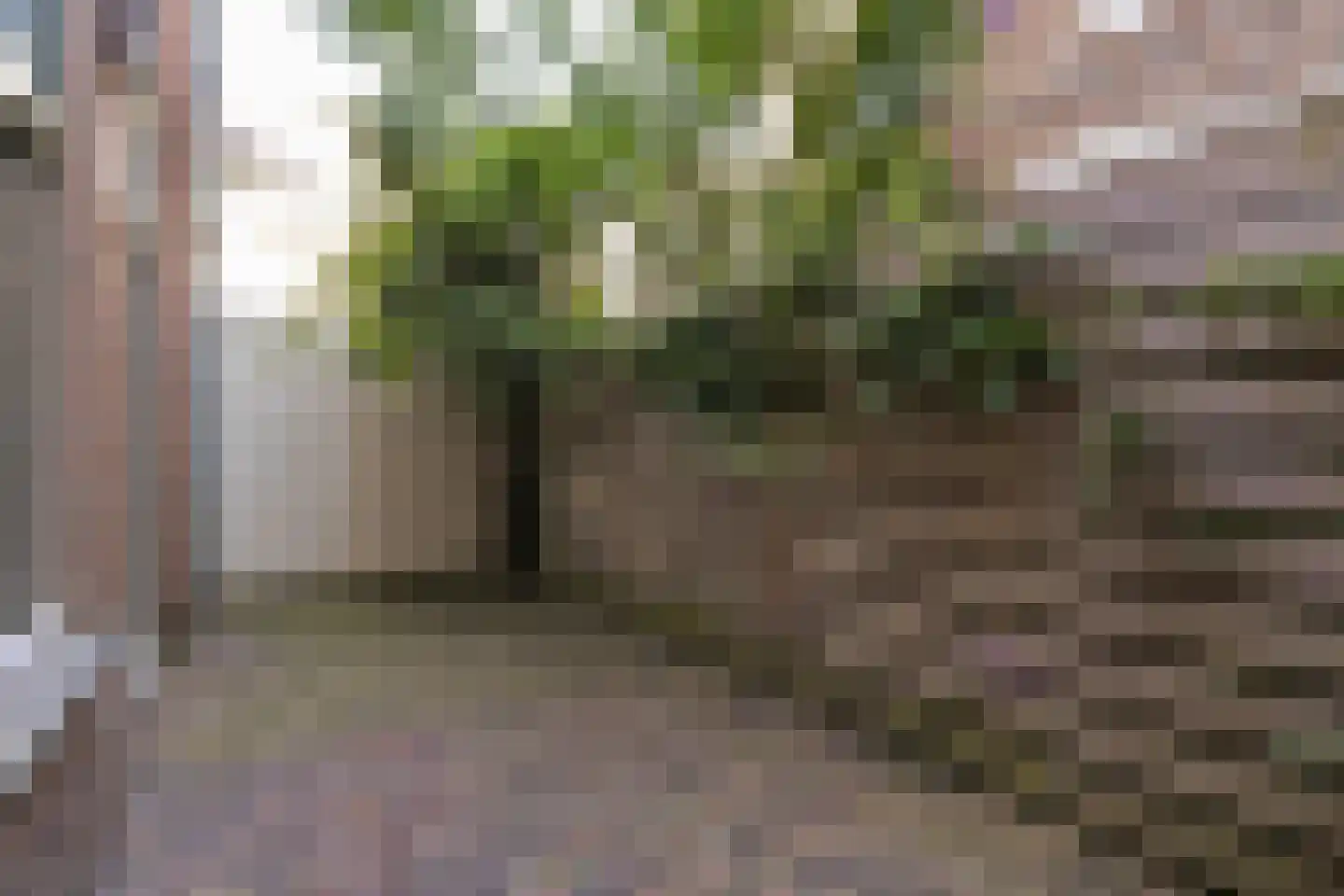 Ampèrestraat 12 Den Haag thumbnail 25