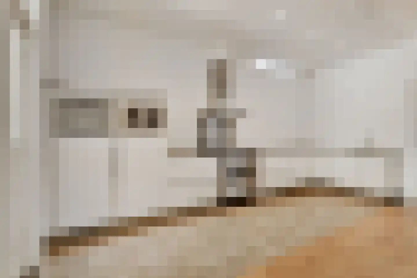 Ampèrestraat 12 Den Haag foto 3