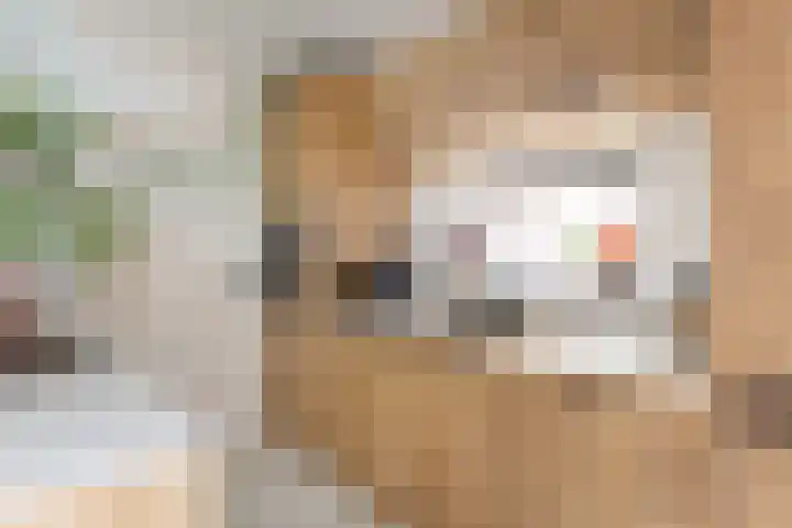 Ampèrestraat 12 Utrecht thumbnail 16