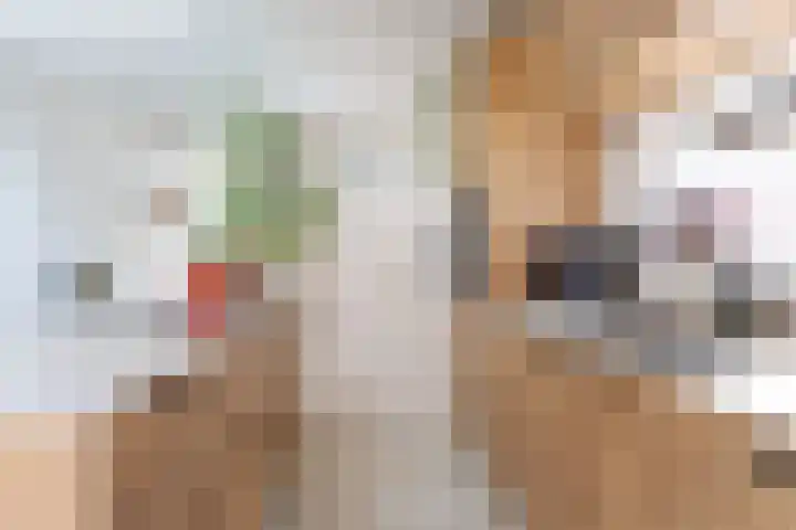 Ampèrestraat 12 Utrecht thumbnail 17