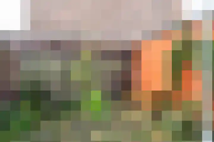 Ampèrestraat 12 Utrecht thumbnail 22