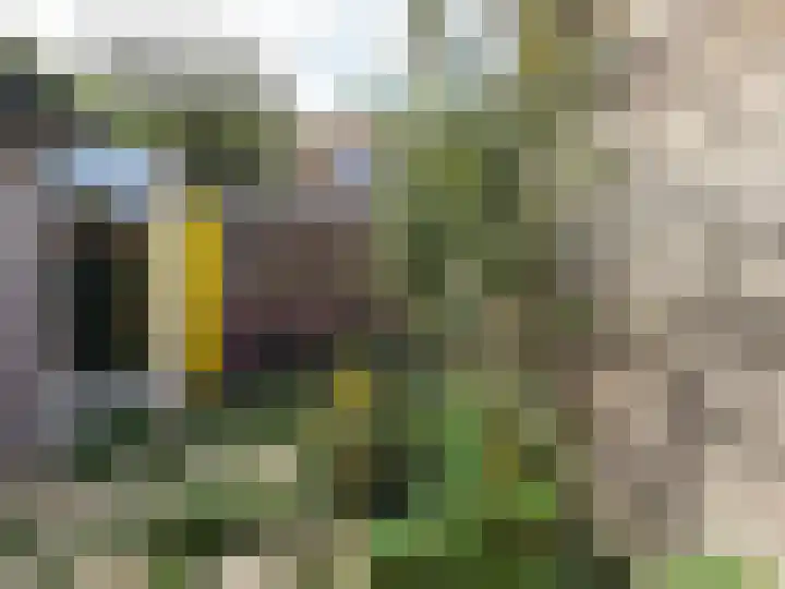 Ampèrestraat 12 Utrecht thumbnail 24