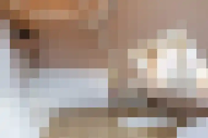 Ampèrestraat 12 Utrecht thumbnail 38