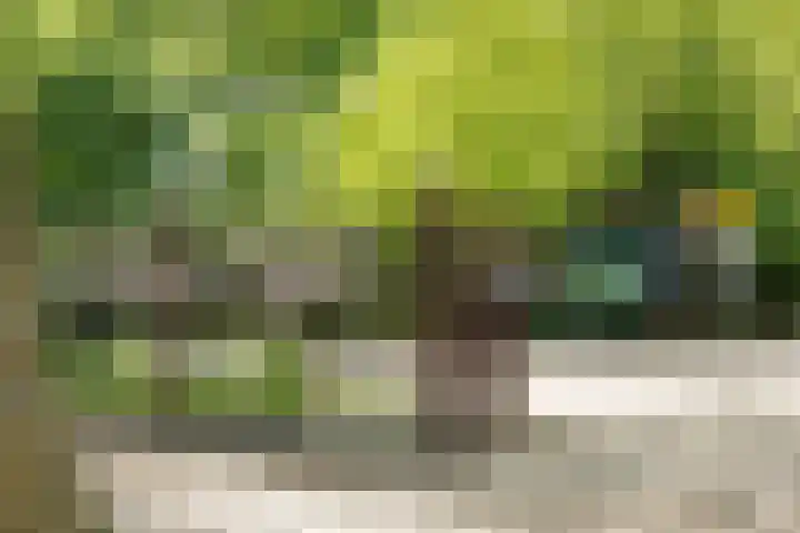 Ampèrestraat 12 Utrecht thumbnail 43