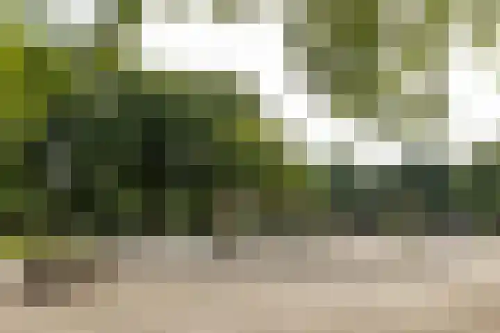 Ampèrestraat 12 Utrecht thumbnail 44