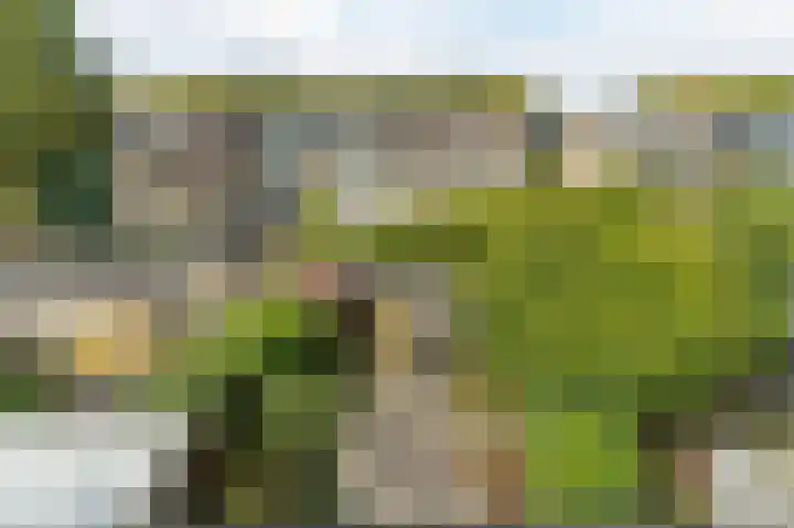 Ampèrestraat 18 Oosterhout thumbnail 34