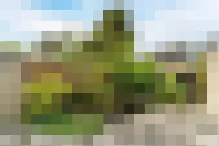 Ampèrestraat 18 Oosterhout thumbnail 36