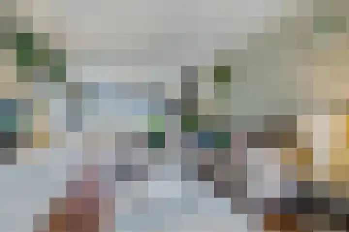 Ampèrestraat 18 Oosterhout thumbnail 4