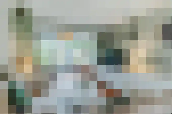 Ampèrestraat 18 Oosterhout thumbnail 5
